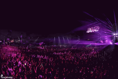 Crowd at Concert With Insomniac