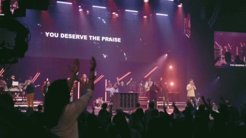 Crowd At Concert With You Deserve Praise GIF