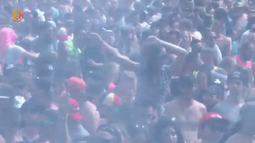 Crowd at Music Festival
