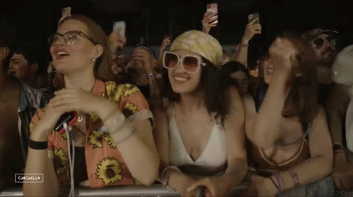 Crowd At Music Festival With Cachalla GIF