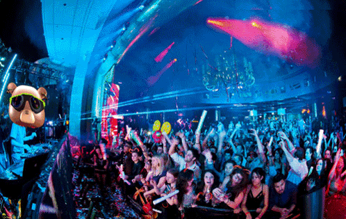 Crowd at Nightclub With Teddy Bear Sunglasses