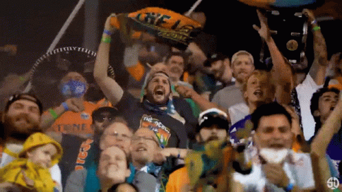 Crowd at Stadium With Man in The Goons Shirt