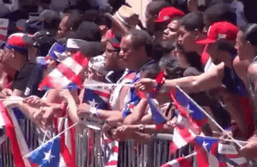 Crowd Behind Fence With Flags