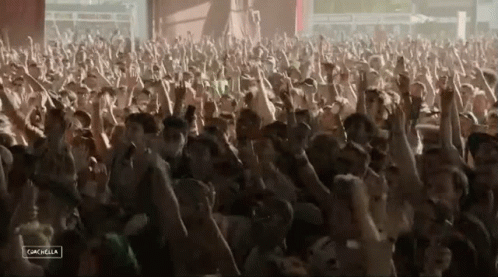 Coachella Energetic Crowd Cheering GIF