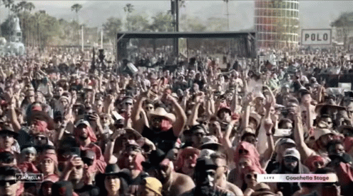 Coachella Stage Crowd Cheering GIF