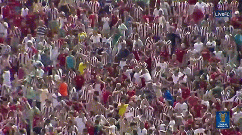 Crowd Cheering Jumping Celebration GIF