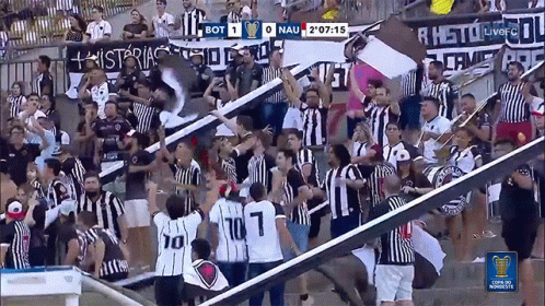 Botafago Nautico Crowd Cheering GIF