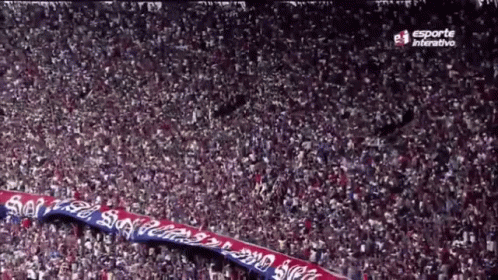 Crowd Cheering At Stadium GIF