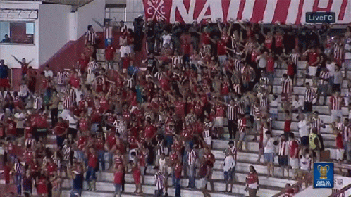 Copa Do Nordeste Crowd Cheering GIF
