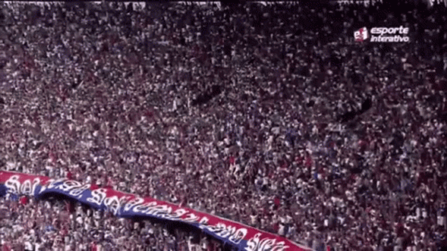Crowd Cheering At Stadium GIF