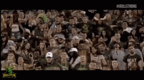 Crowd Cheering in Stadium Watching Game