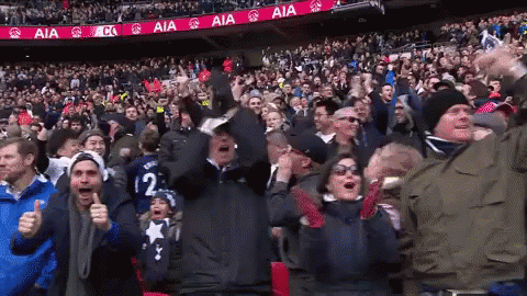 Crowd Cheering In Stadium With AIA Banners GIF