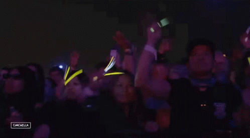 Crowd Dancing at Campbella Concert