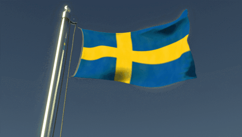 Crowd Holding Swedish Flags