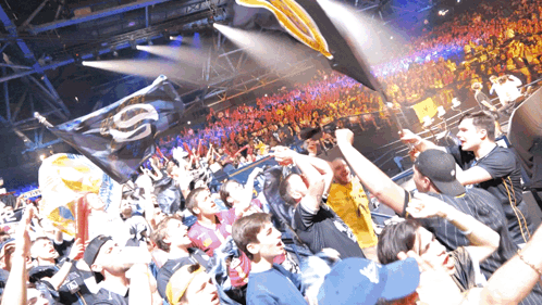Crowd Holding Up Flags With Letter S