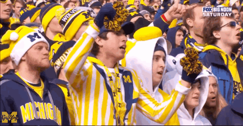 Crowd in Michigan Jerseys and Hats