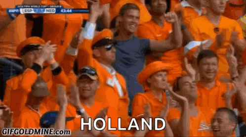 Crowd In Orange Shirts And Hats Watching Soccer Game Holland GIF