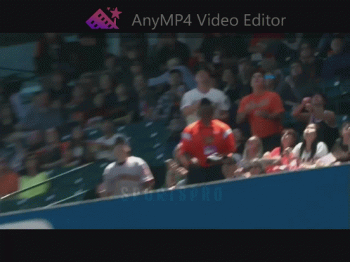 Crowd in Stadium Anymp4 Video Editor