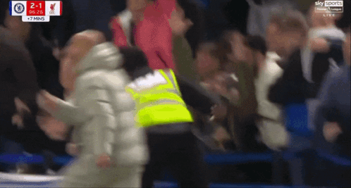 Crowd In Stadium Score 2-1 GIF