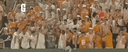 Crowd in Stadium With Arms Up and Good Ol Sign