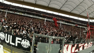 Crowd In Stadium With Banner Saying Ulf GIF
