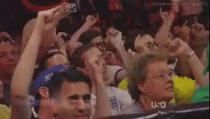 Crowd in Stadium With Hands Up and Do It Sign