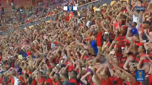 Crowd in Stadium With Live Fc