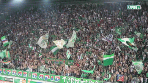Crowd In Stadium With Rapid TV