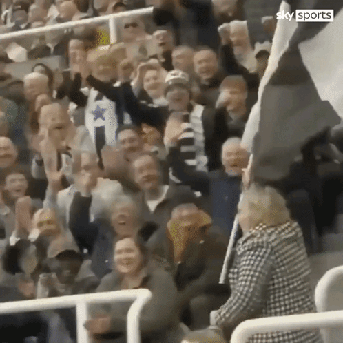 Crowd in Stadium With Sky Sports