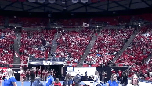 Crowd in Stadium With USA Banner