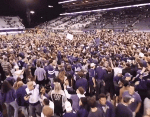 Crowd in Stadium With Woman Wearing W on Back
