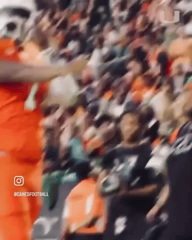 Crowd of People Canesfootball