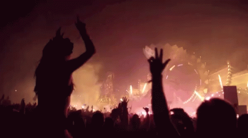 Crowd Of People Raising Arms At Concert GIF