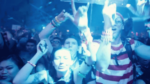 Crowd Of People With Arms In Air GIF