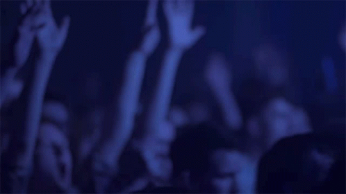 Crowd Raising Hands at Concert