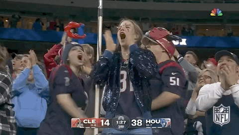Crowd Screams For Houston Texans GIF