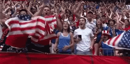 Crowd Standing With Arms in Air in Stadium
