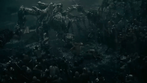 Crowd Swimming in Dark Pool