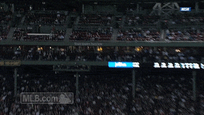 Crowd Watching Baseball Game With MLB.com