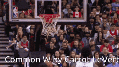 Crowd Watching Basketball Game