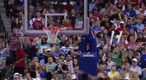 Crowd Watching Basketball Game With Spalding Hoop GIF