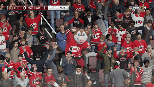 Crowd Watching Carolina Crows vs Toronto Maple Leafs