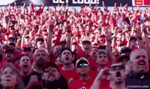 Crowd Watching Football Game With Arms in Air