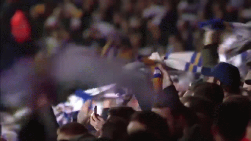 Crowd Watching Game Holding Up Flags