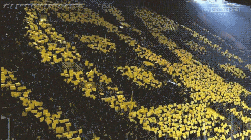 Crowd Watching Game On Sky Sports GIF