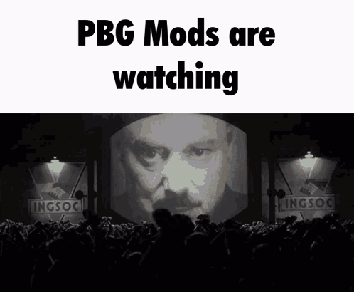 Crowd Watching Movie PBG Mods