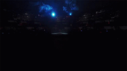 Crowd Watching Preseason Invitational GIF
