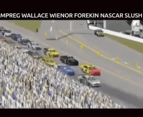Crowd Watching Race mpreg wallace wienor forekin nascar slugs