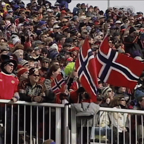 Crowd Watching Sporting Event With Flags