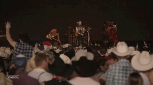 Crowd Wearing Cowboy Hats Watching Band